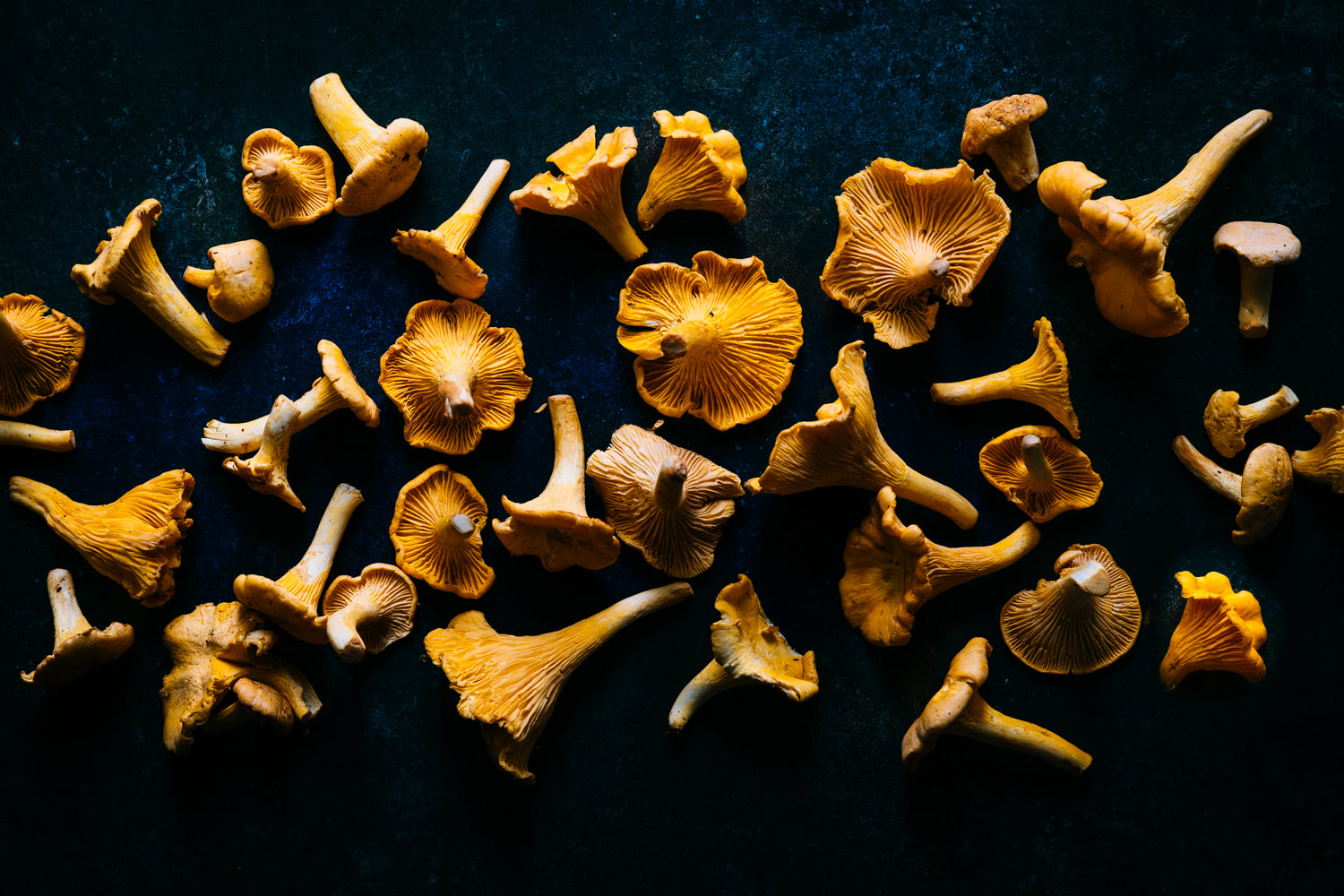 MUSHROOMS & WILD EDIBLES FINE & WILD