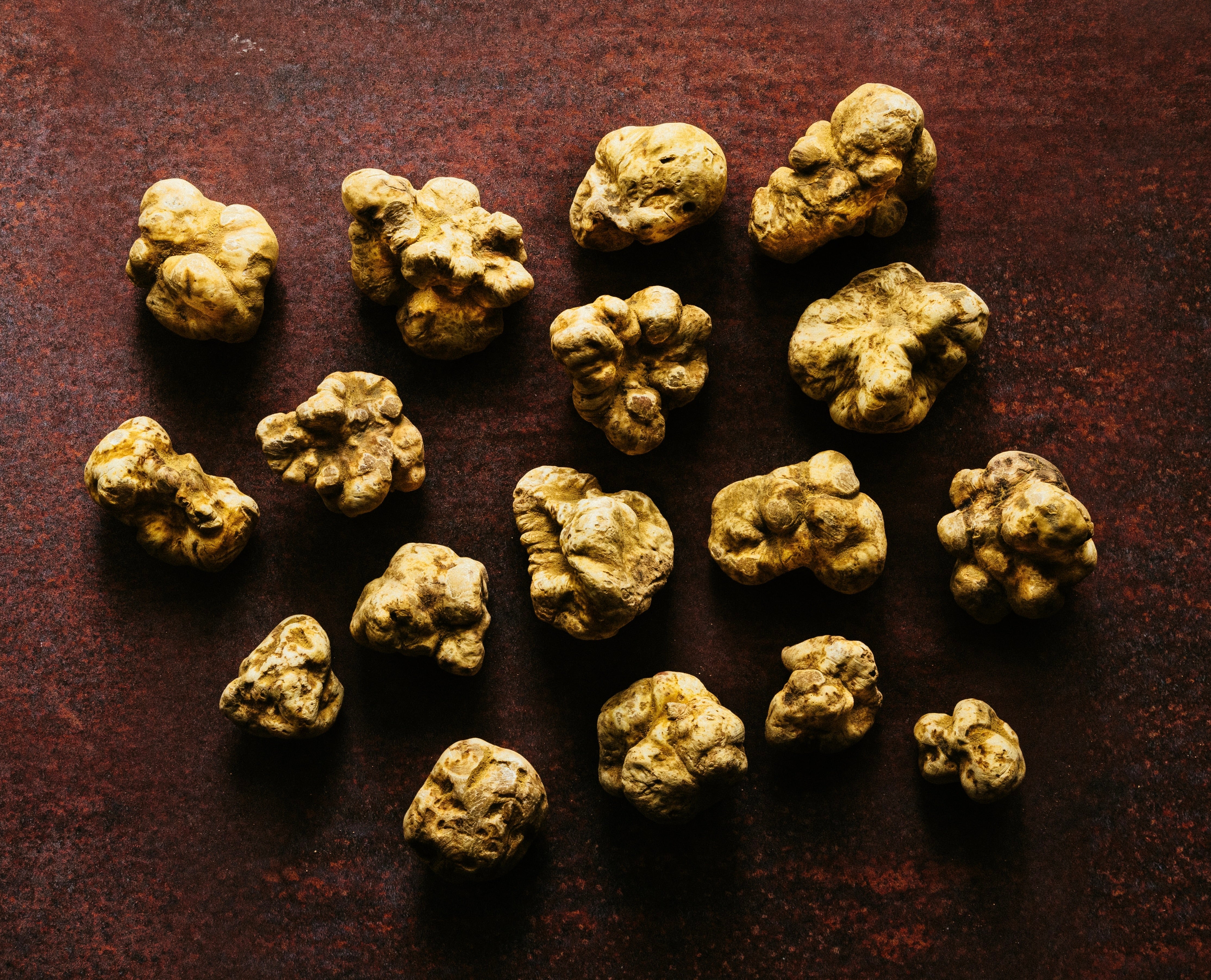 Buy High Quality Fresh Truffles UK | FINE & WILD