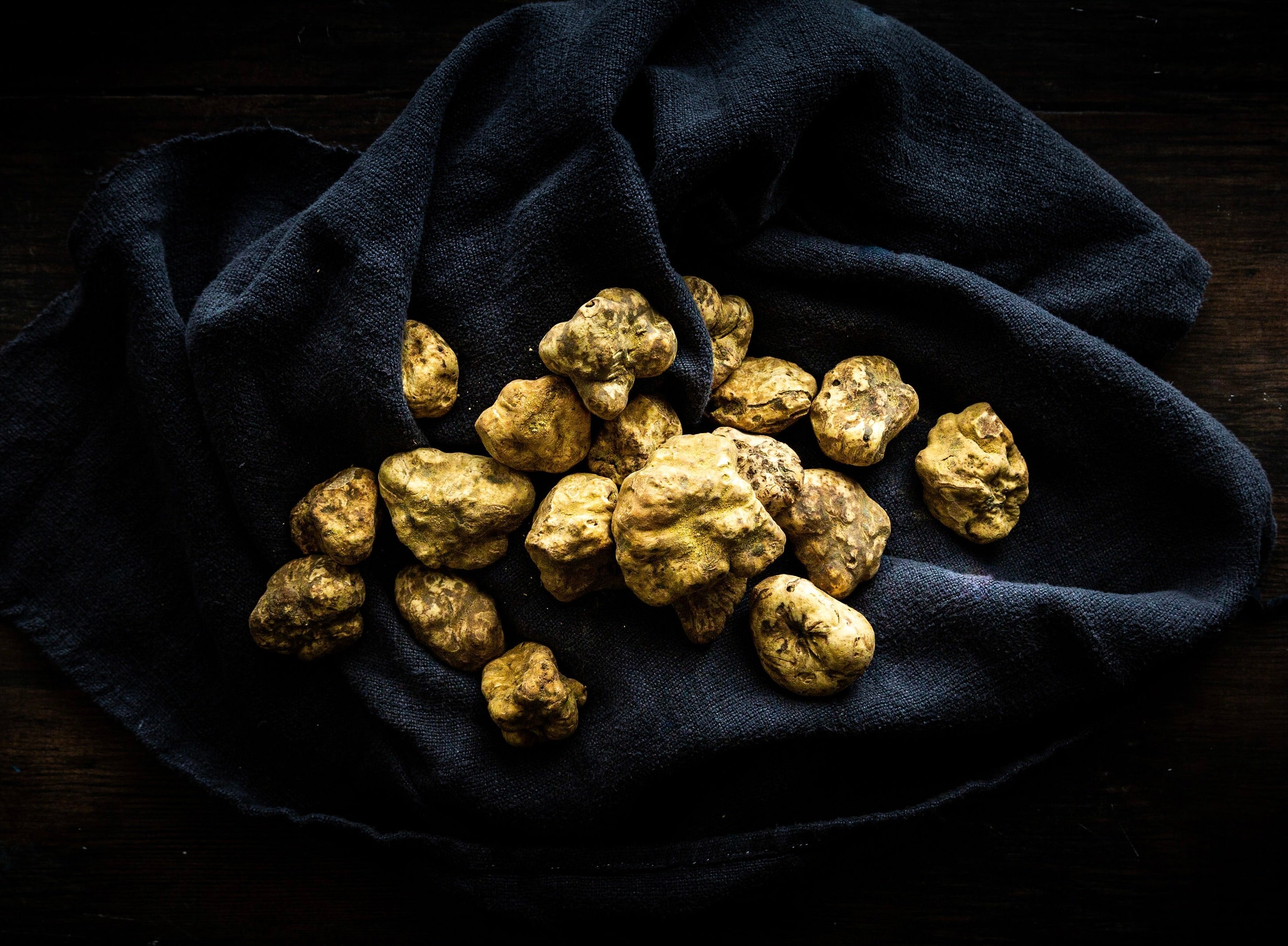 Buy High Quality Fresh Truffles UK | FINE & WILD