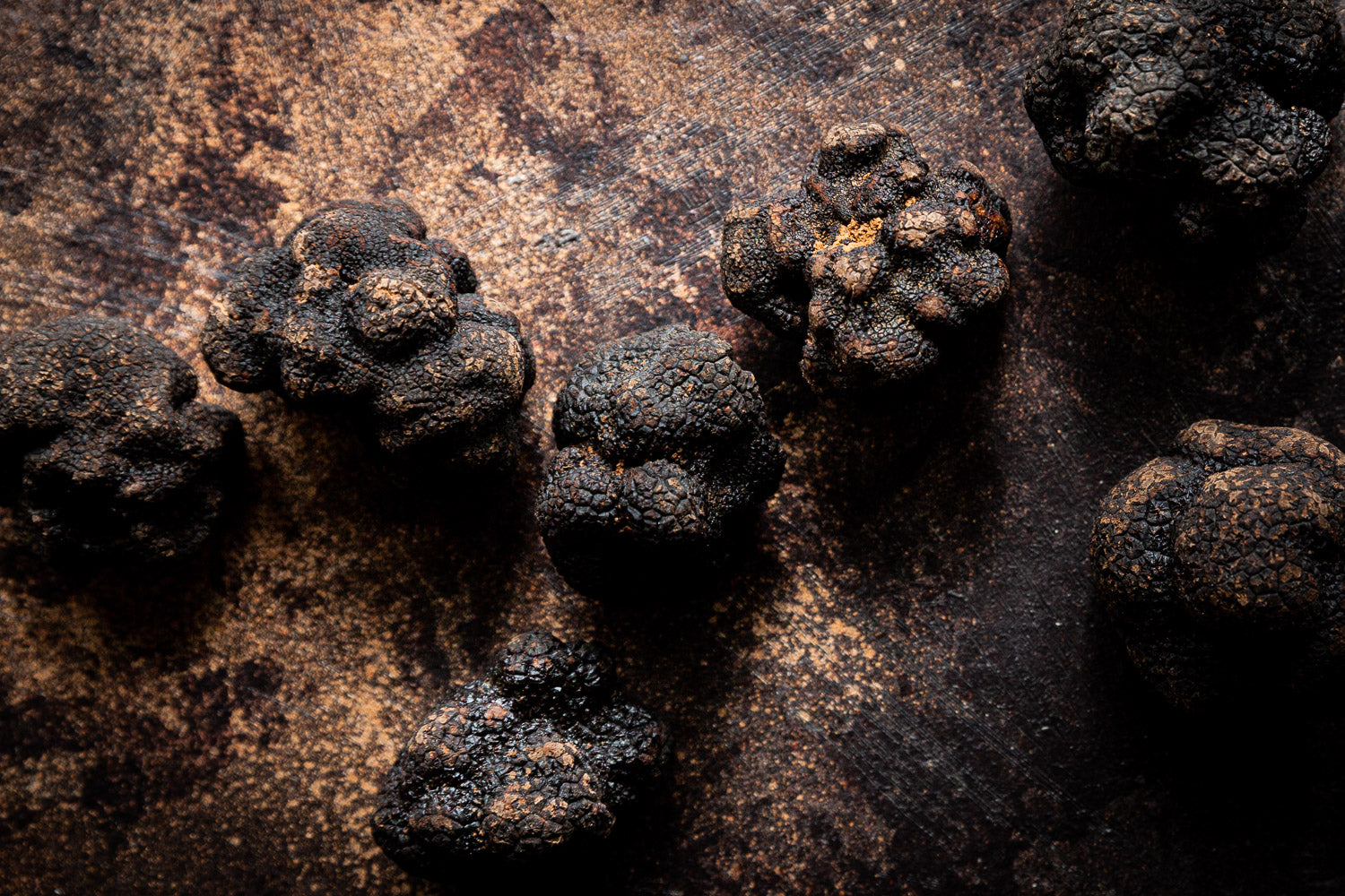 Cluster of fresh black truffles with earthy textured exterior