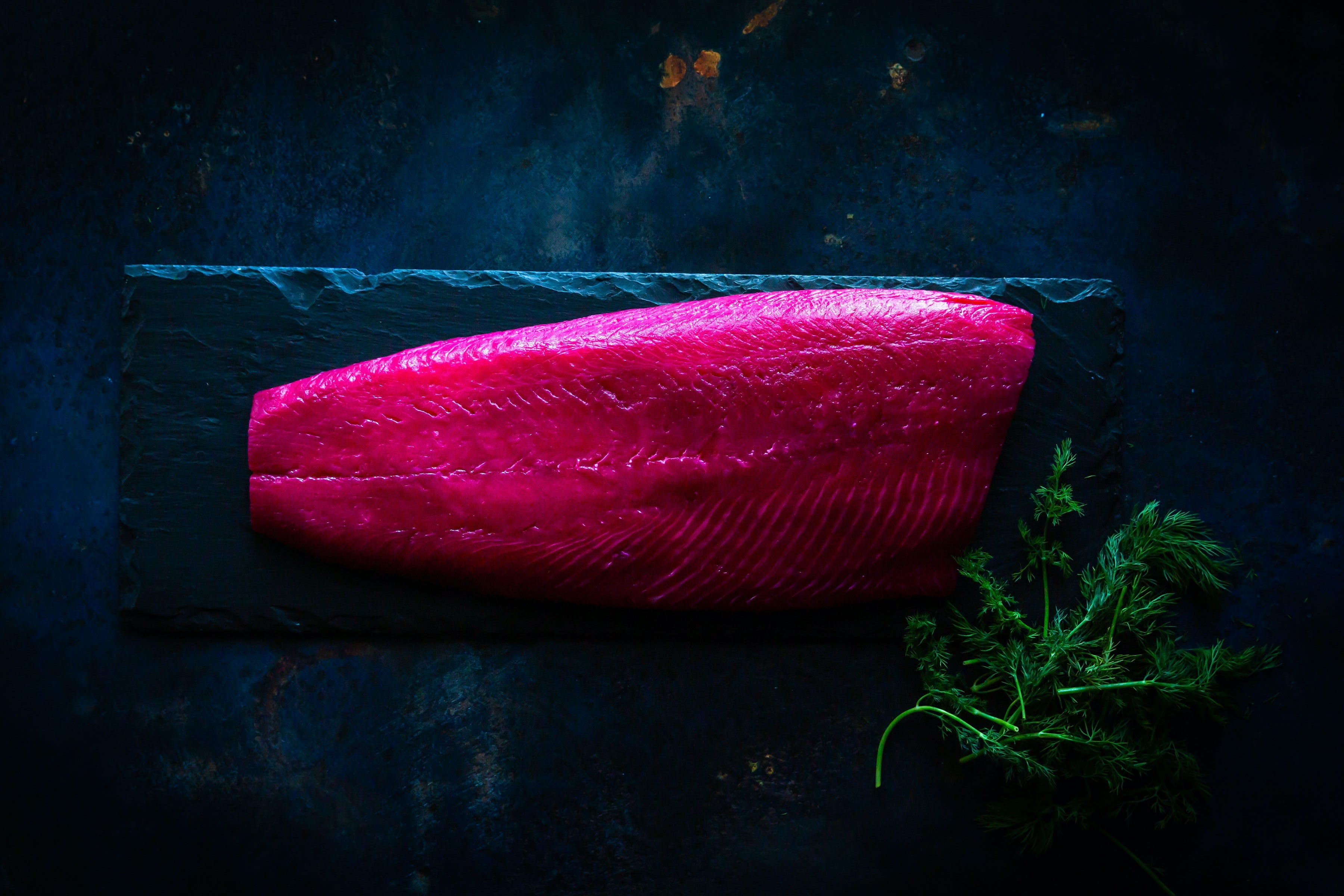 Fish Counter