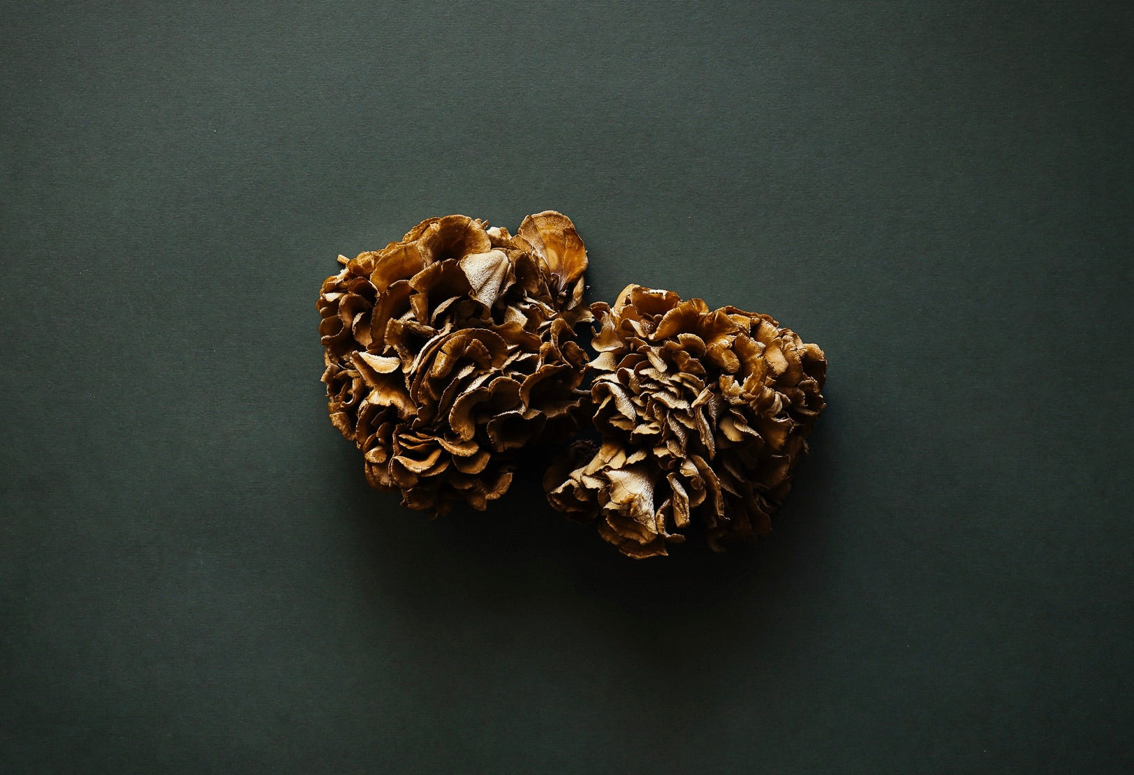 Fresh Exotic Mushrooms