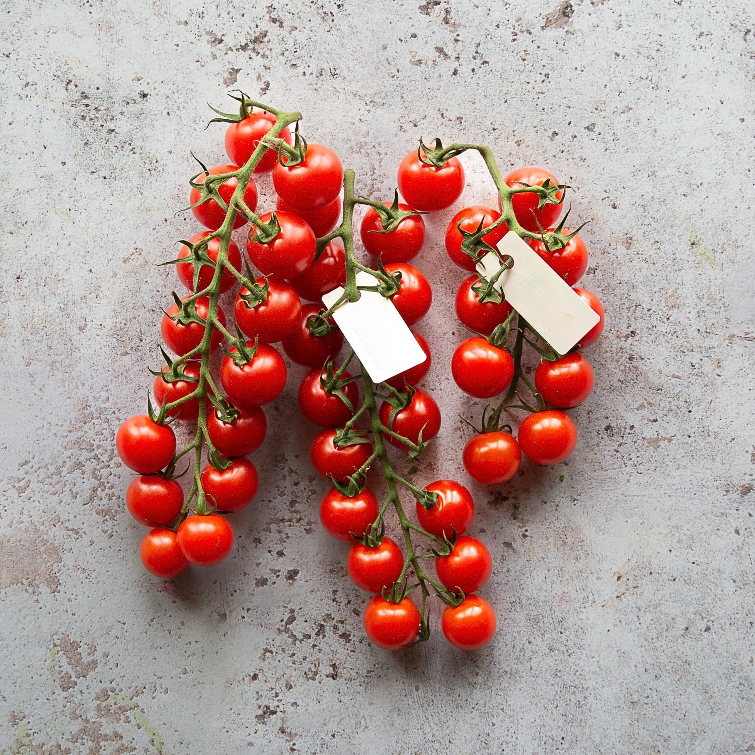 CHERRYSTAR BABY VINE TOMATOES 500g