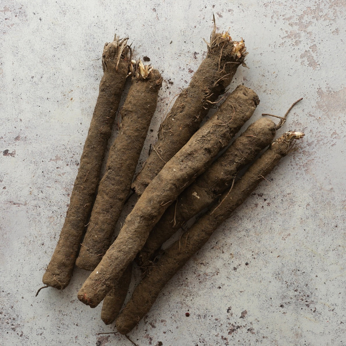 SALSIFY