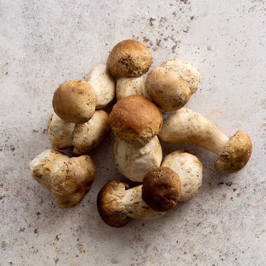 FRESH CEPS 250g