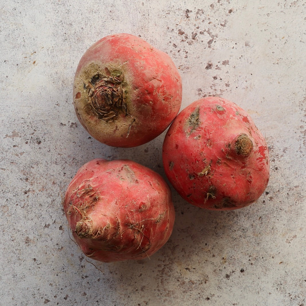 CANDY STRIPE BEETROOT