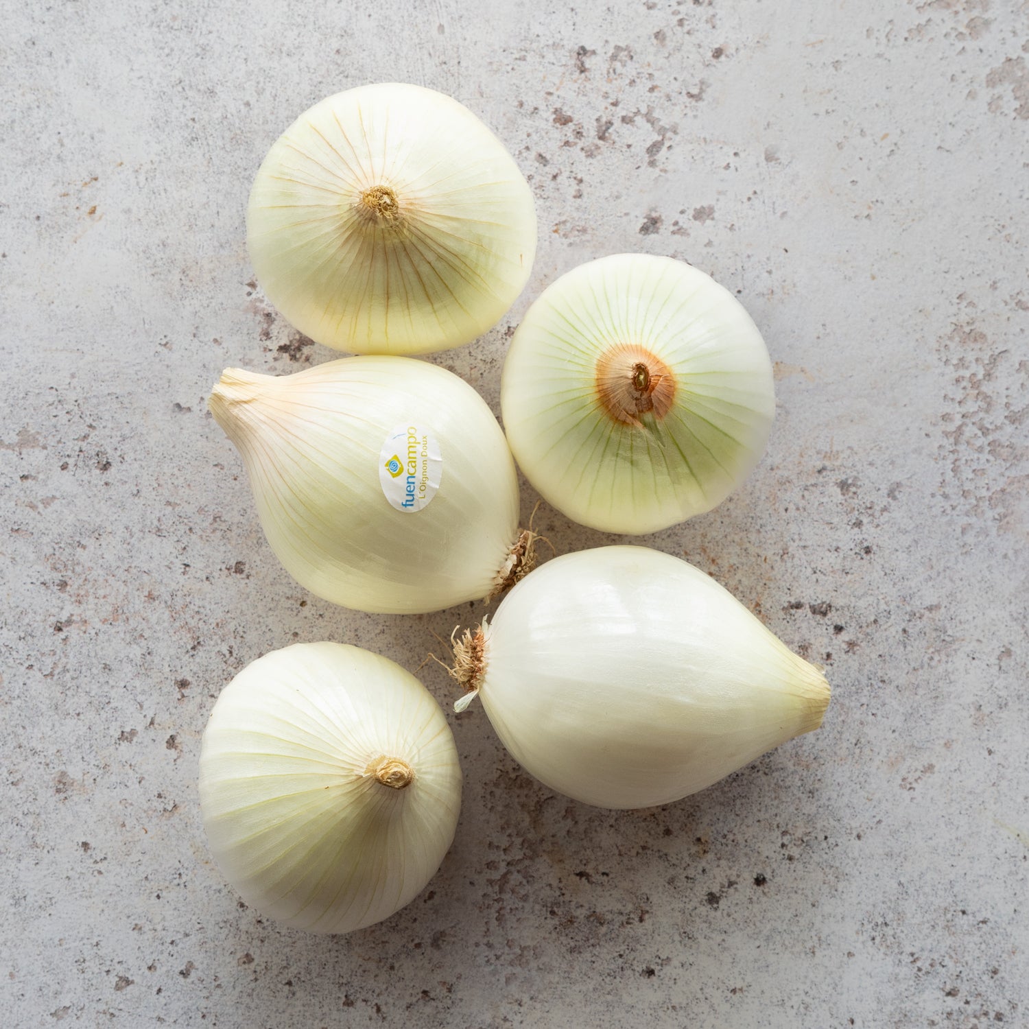 CEVENNE ONIONS PDO