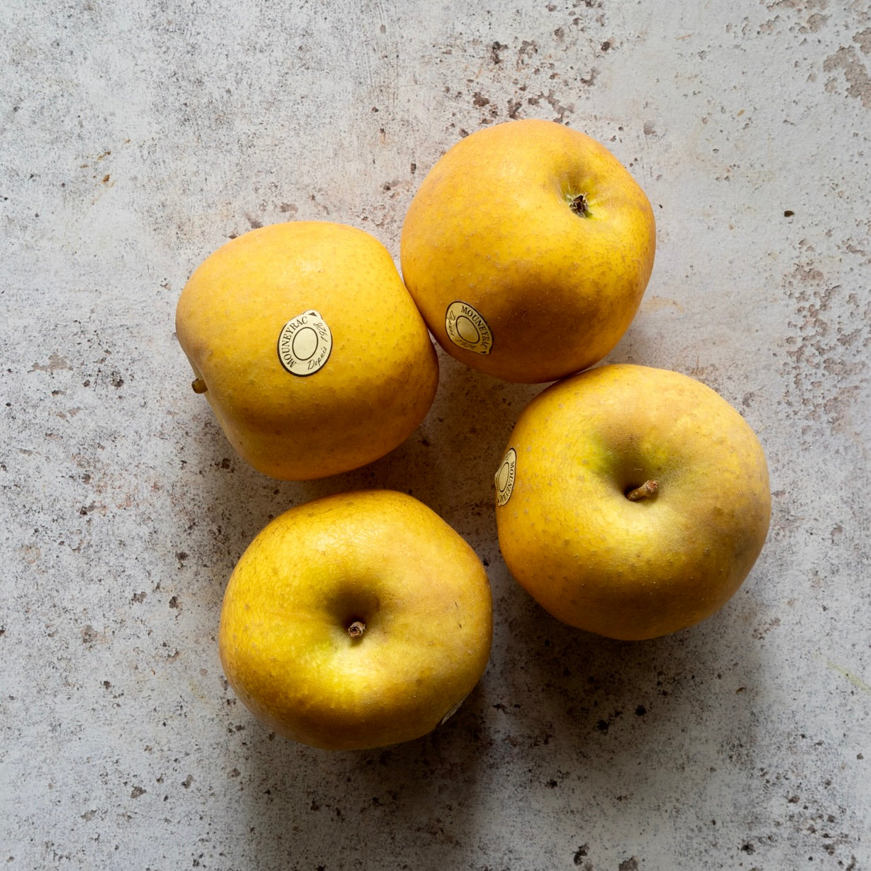 CHANTECLER APPLES
