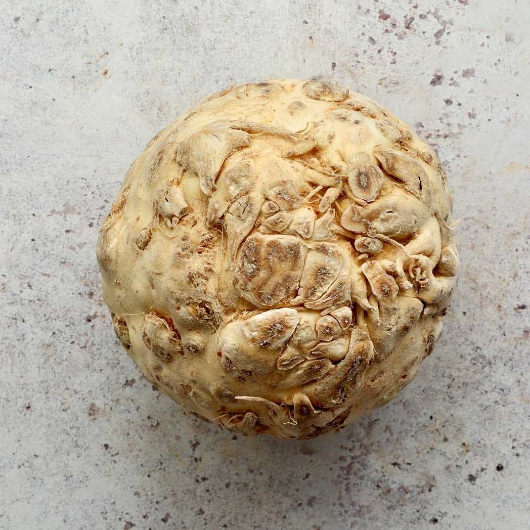 LOIRE VALLEY CELERIAC