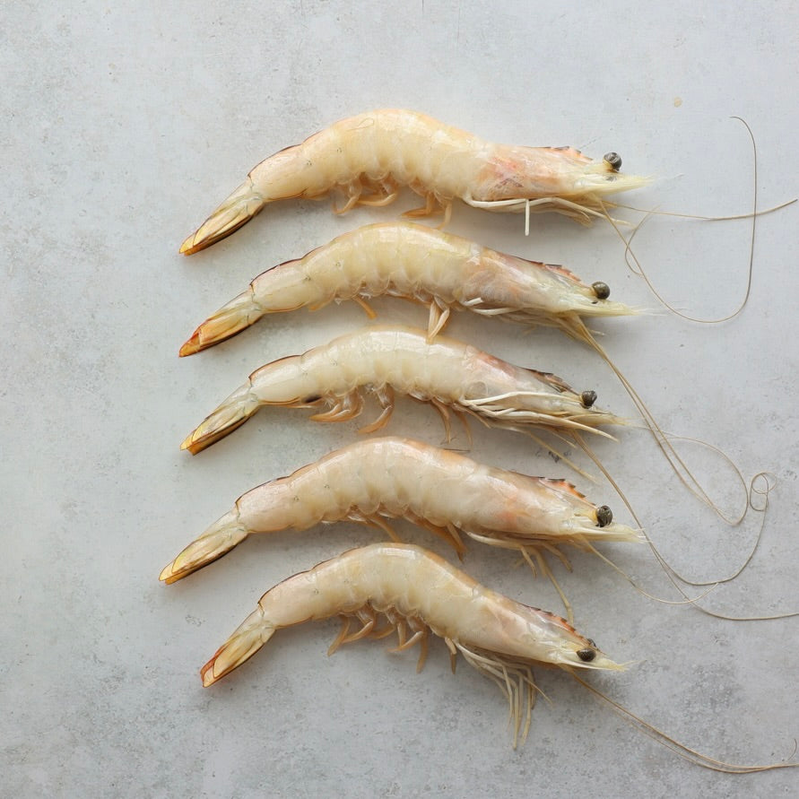 WILD BANANA PRAWNS 1kg