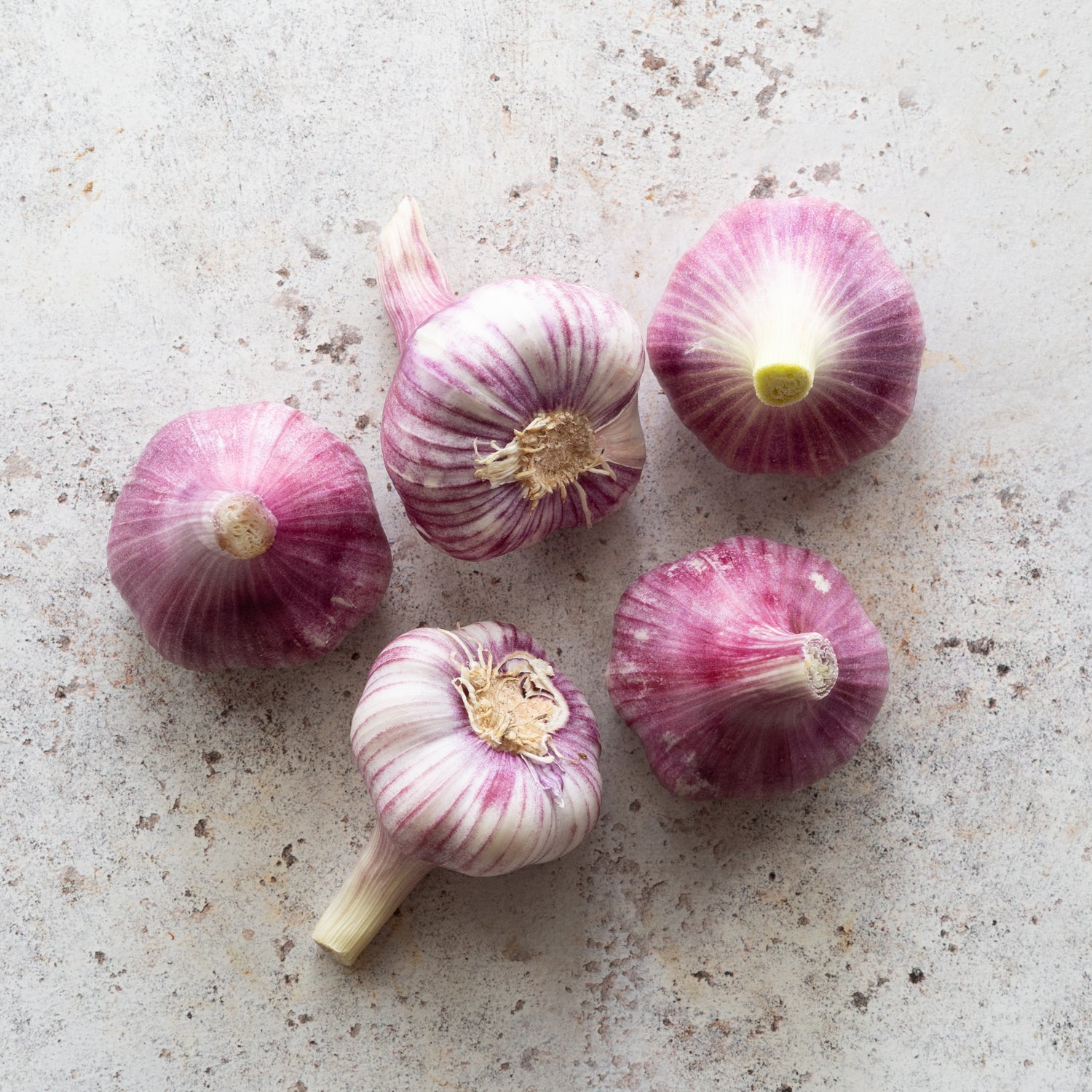 FRESH GARLIC