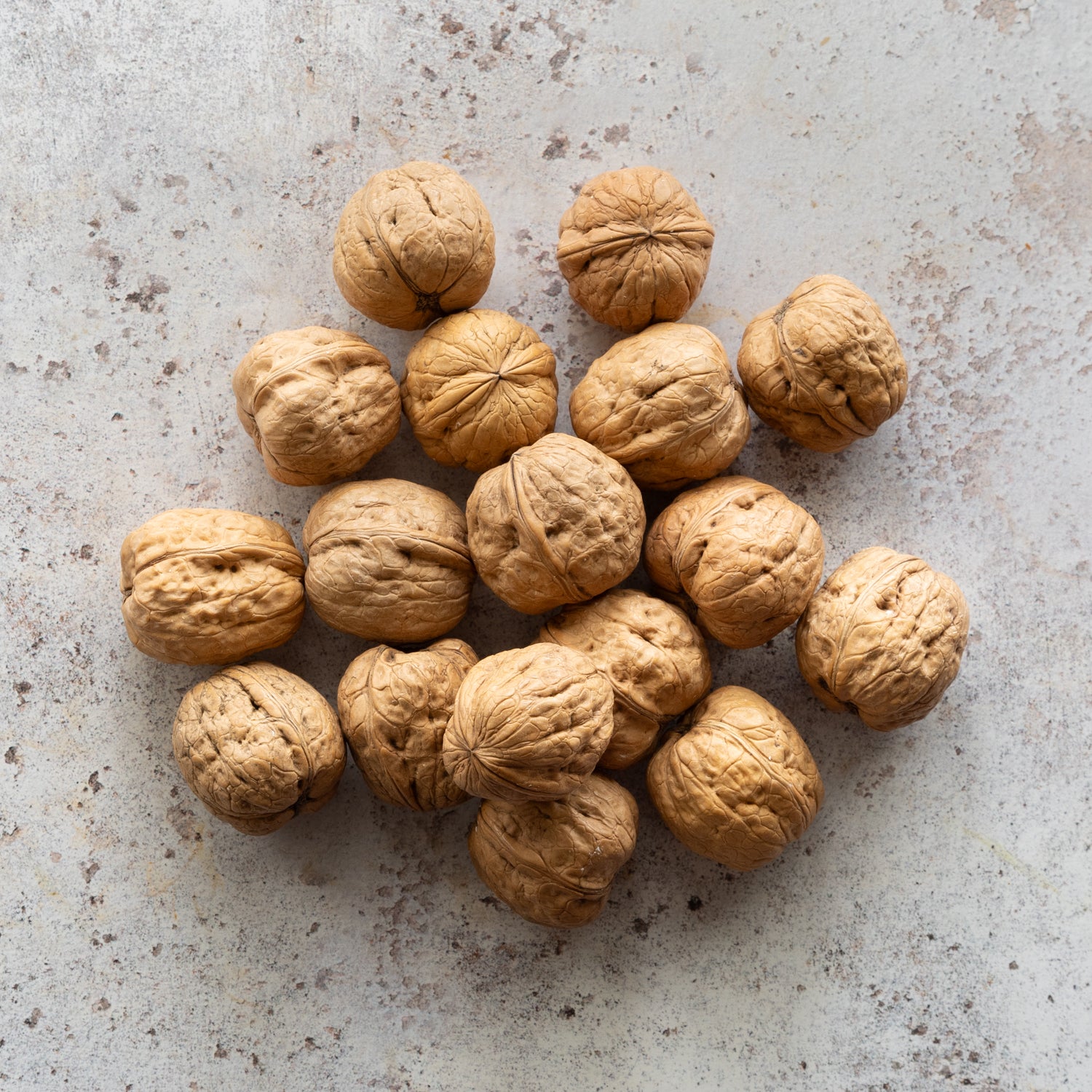 PÉRIGORD WALNUTS AOP