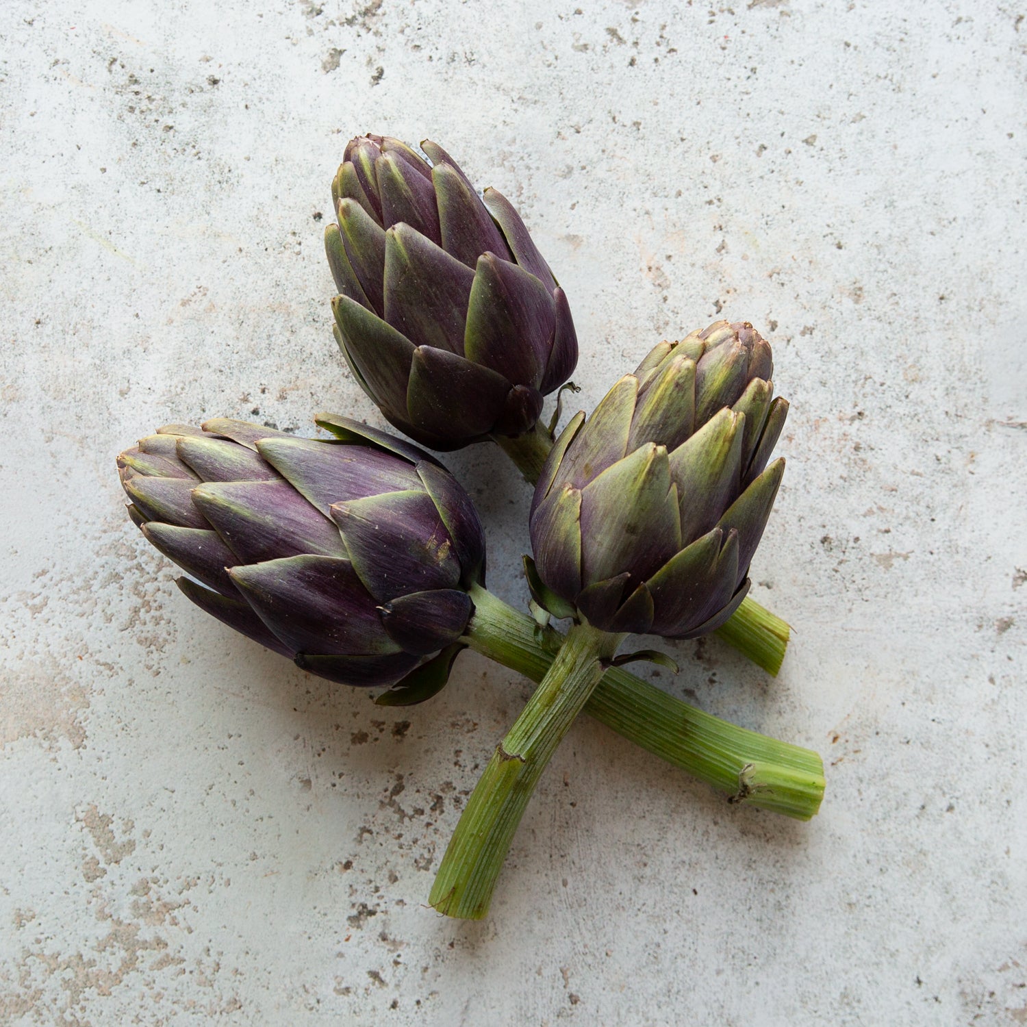 VIOLET ARTICHOKES
