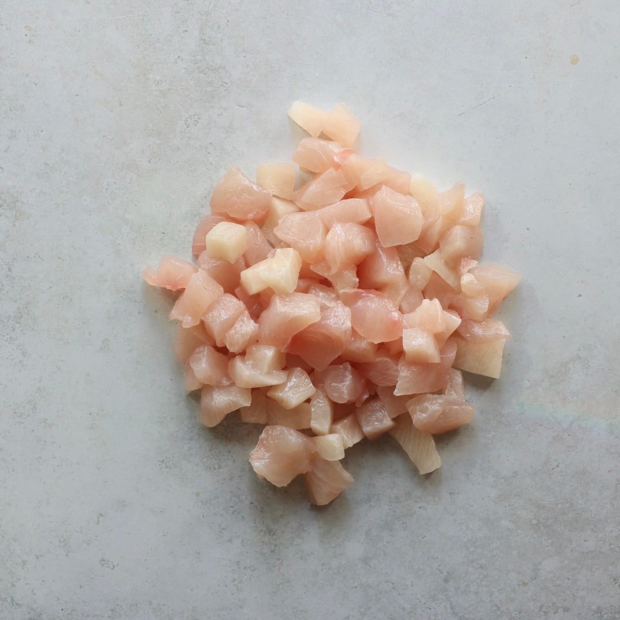 YELLOWTAIL KINGFISH