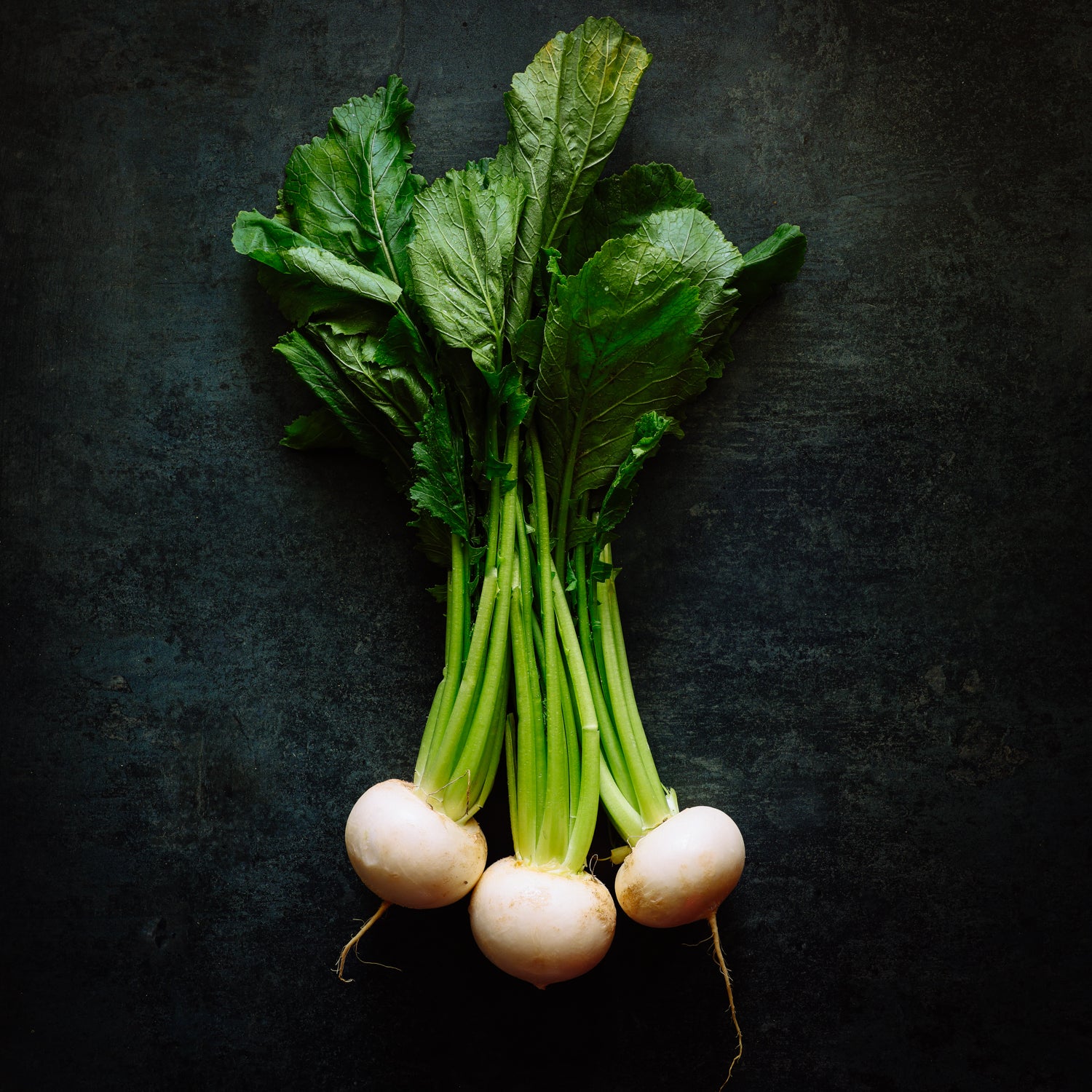 TOKYO TURNIPS