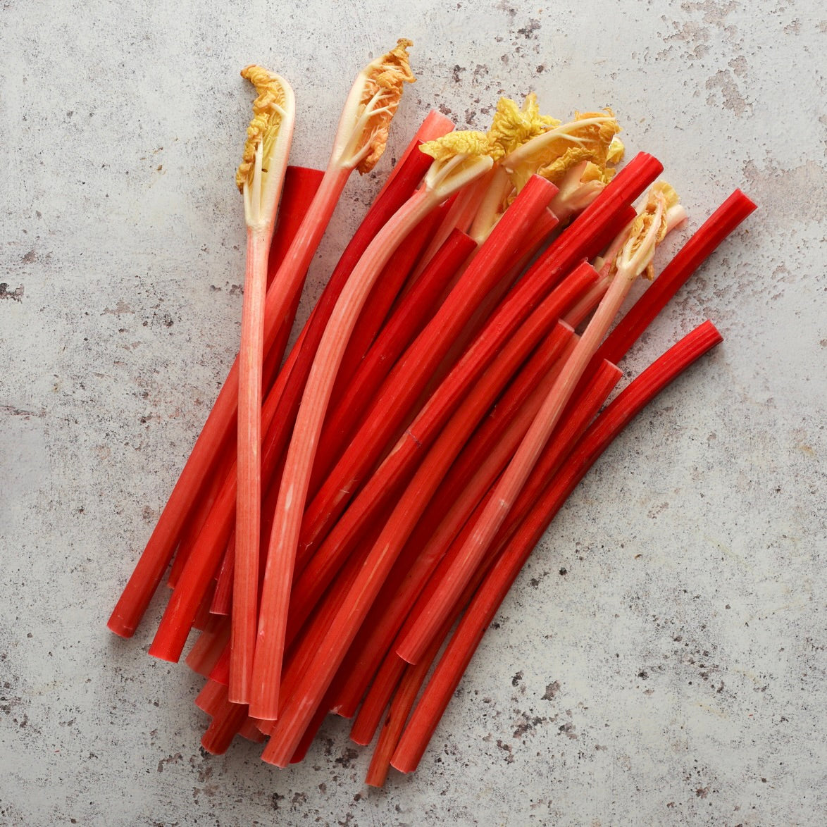 YORKSHIRE FORCED RHUBARB
