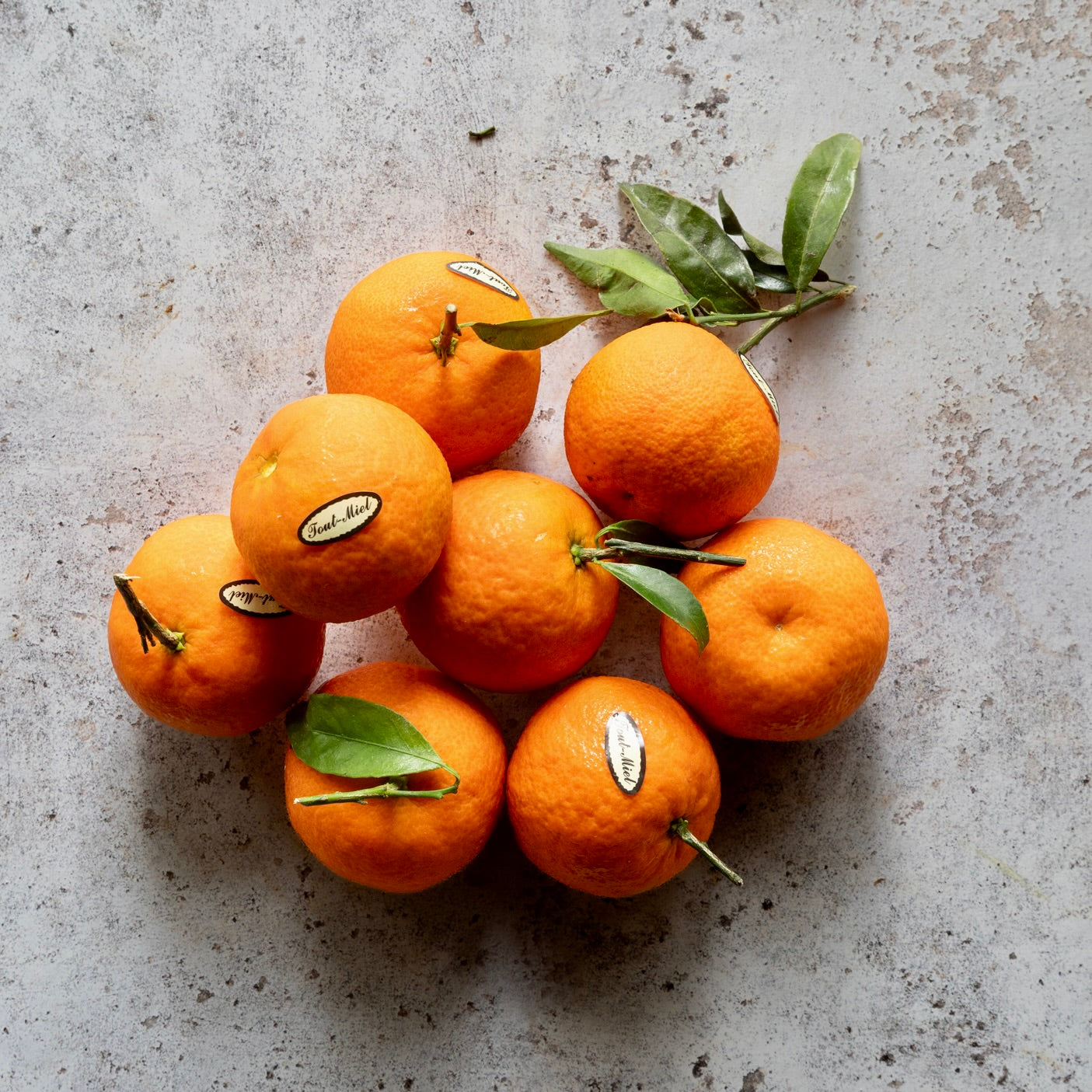 TOUT MIEL CLEMENTINES