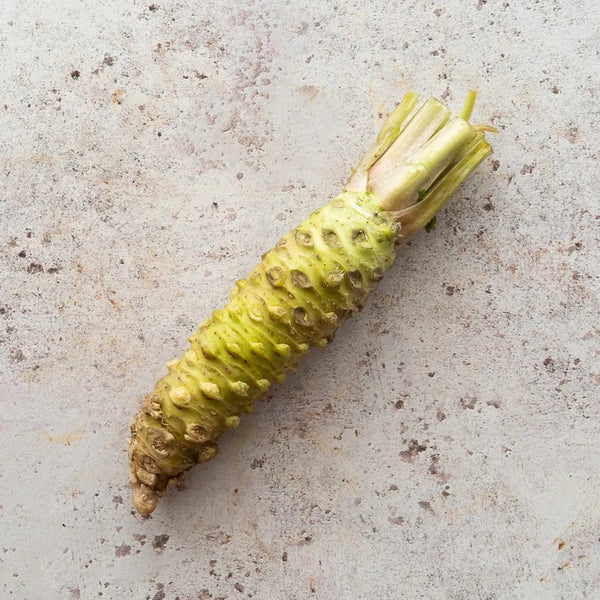 FRESH JAPANESE WASABI ROOT FINE & WILD