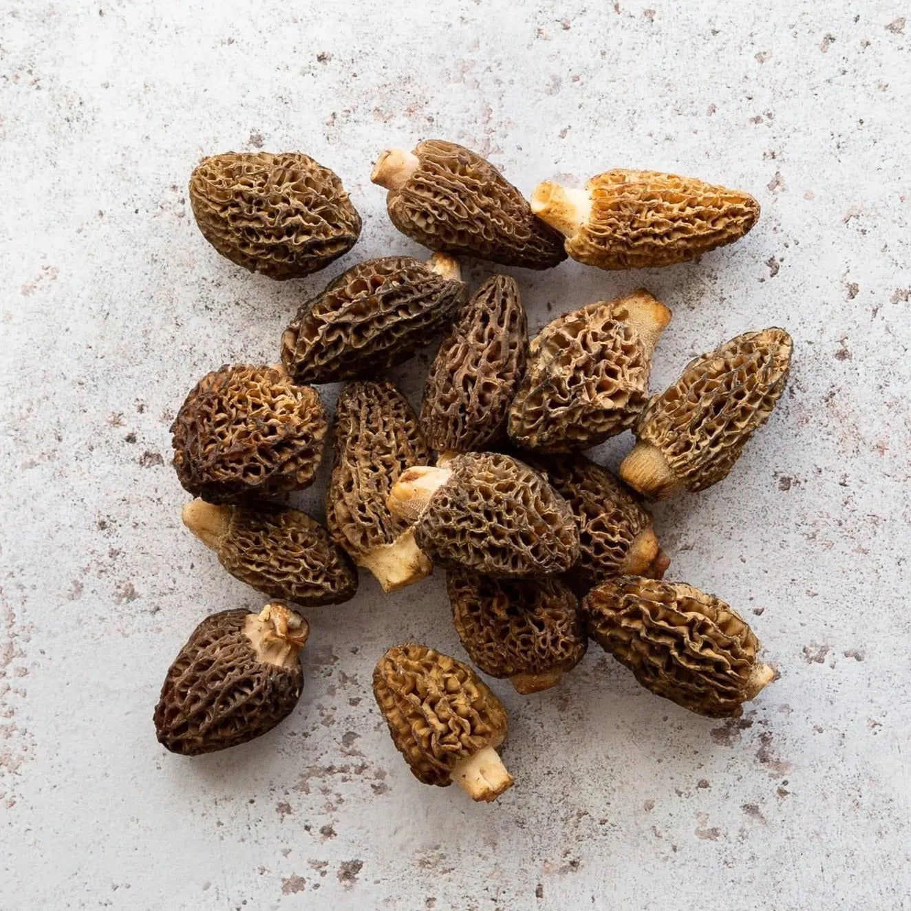 Buy Fresh Morels (Morchella) | FINE & WILD UK