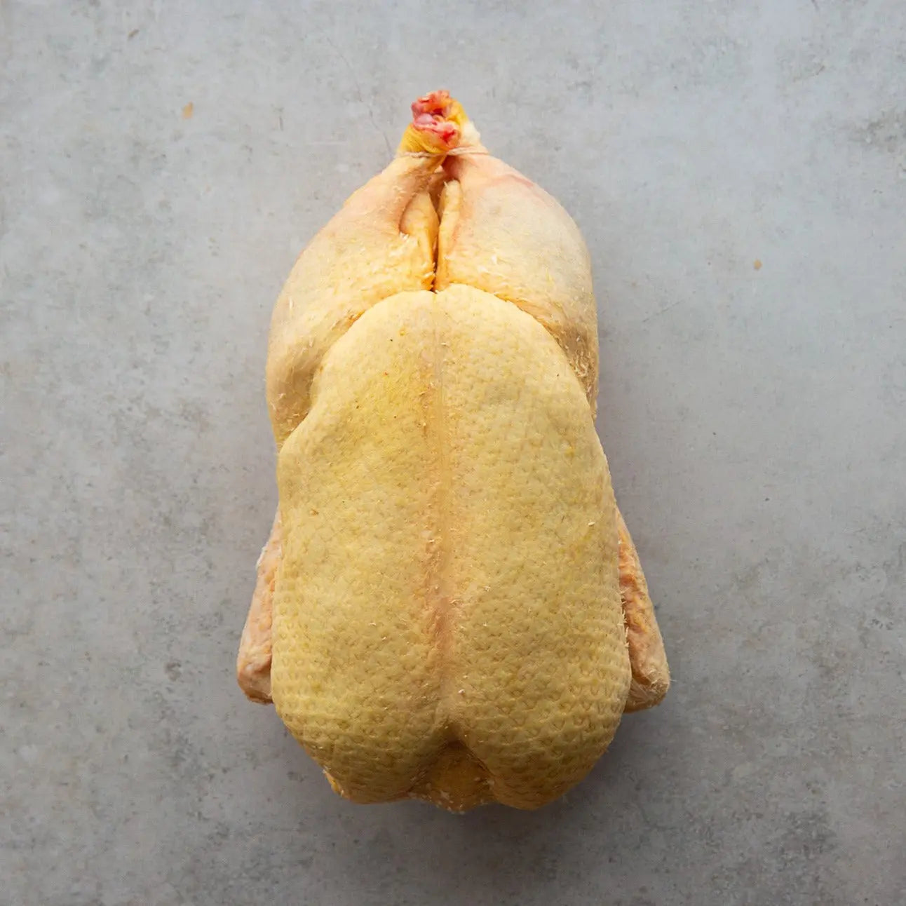 CANARD DE LA DOMBES 1.5kg±