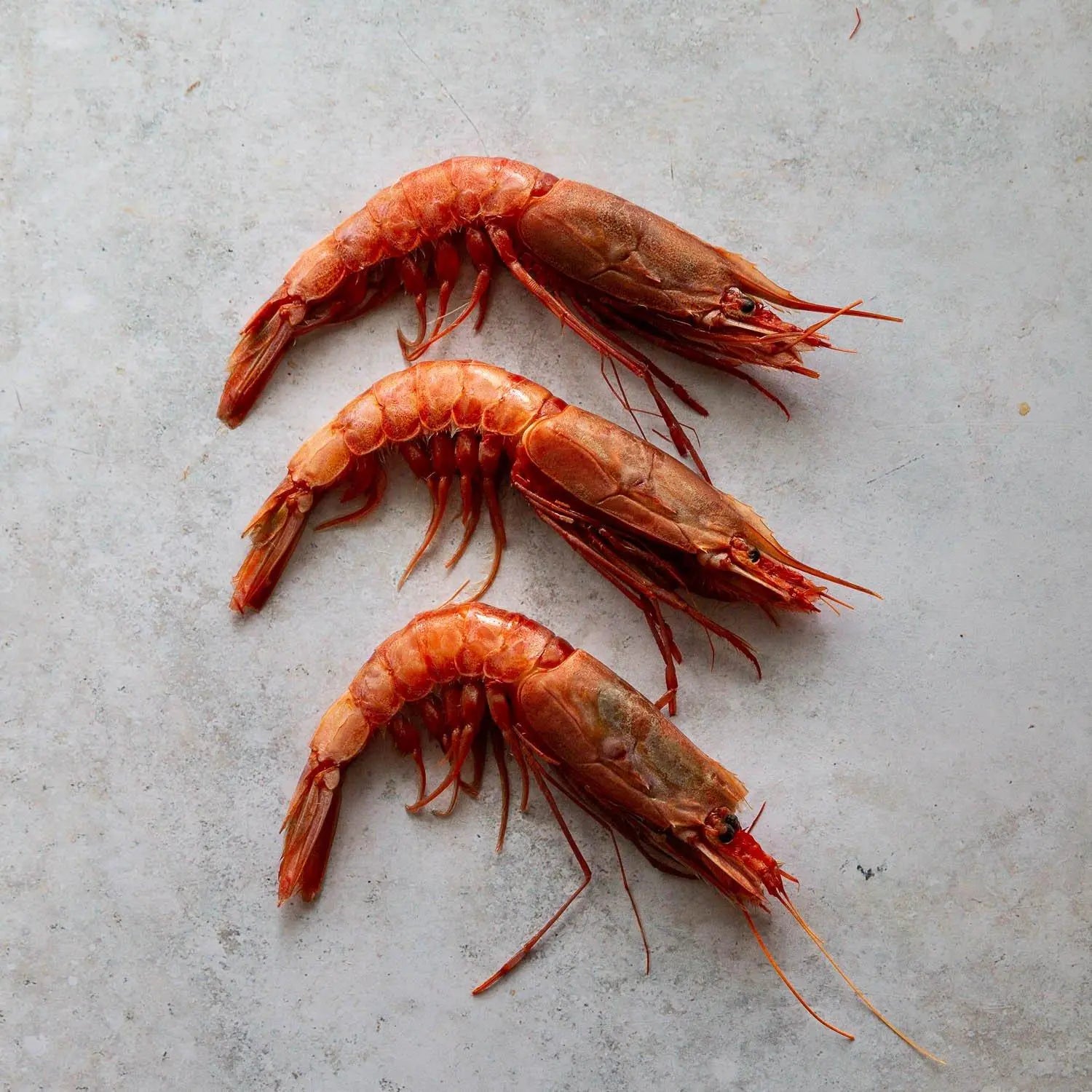 Gambero Rossa Sicilian Scarlet Prawns | Fine & Wild UK