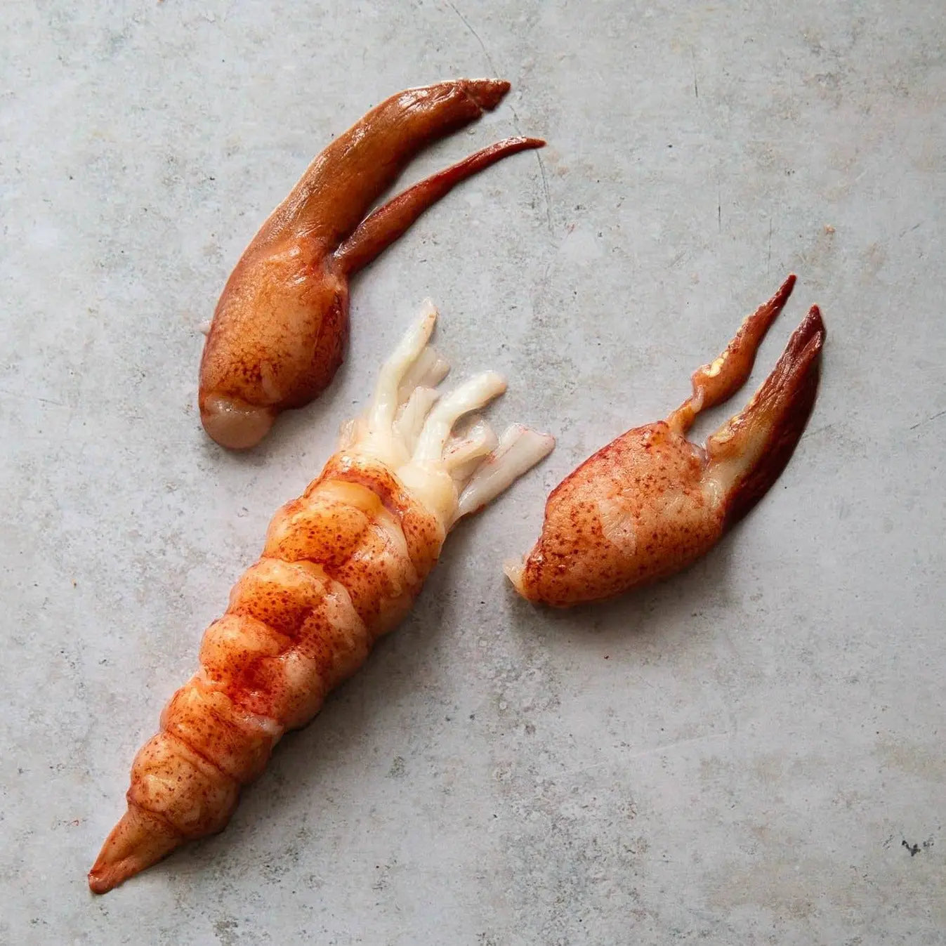 Wild Lobster Meat | Fine & Wild UK