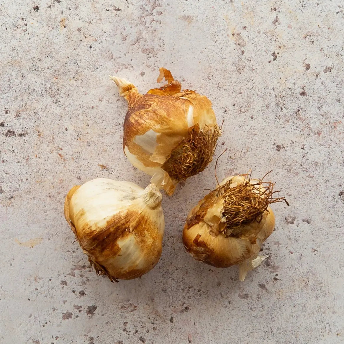 SMOKED GARLIC AOC