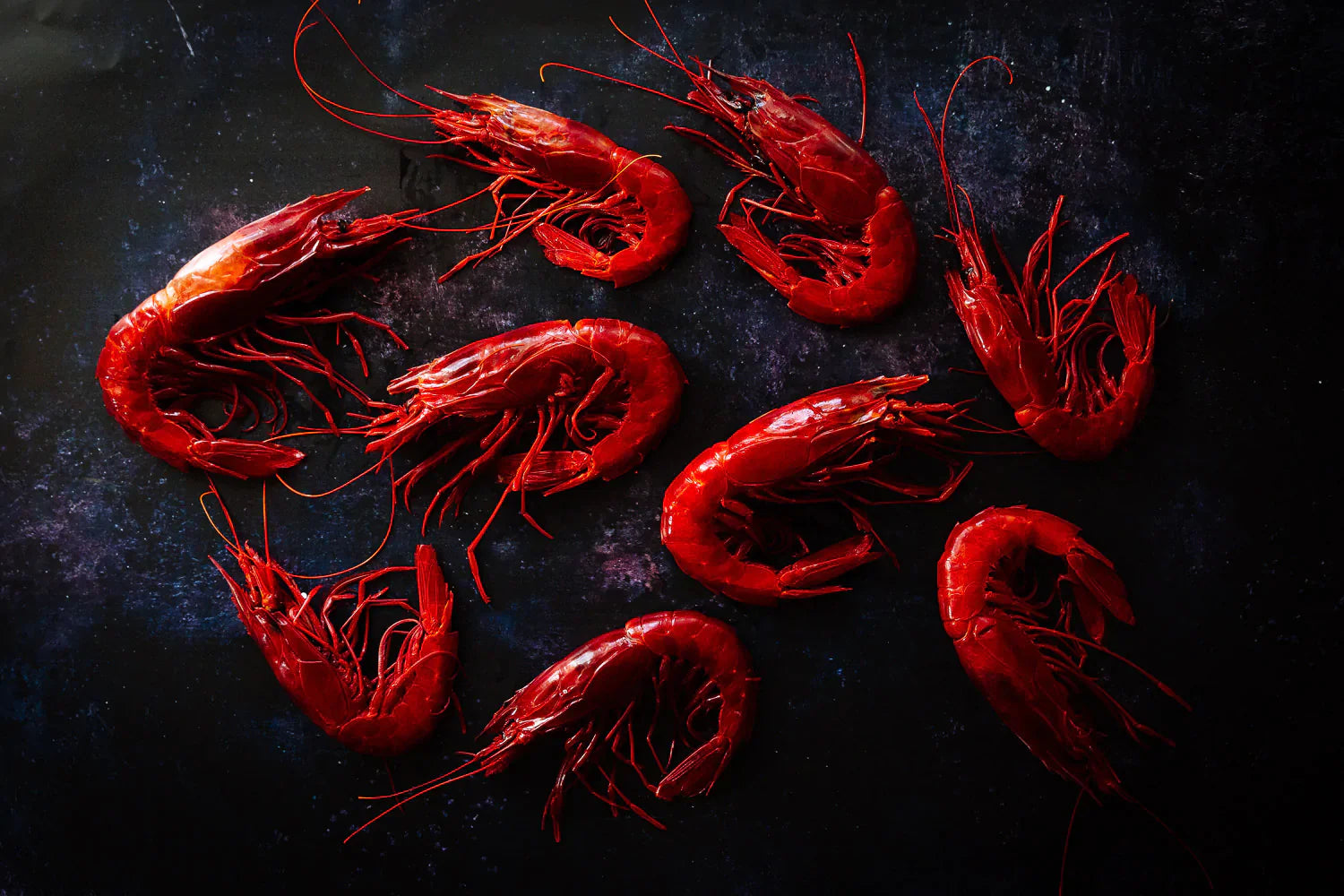 TECHNIQUES - Prawns