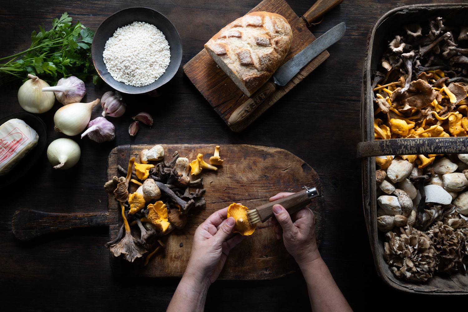 WILD MUSHROOMS