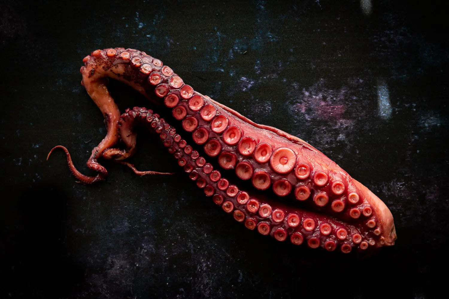 PRESERVED SEAFOOD FINE & WILD