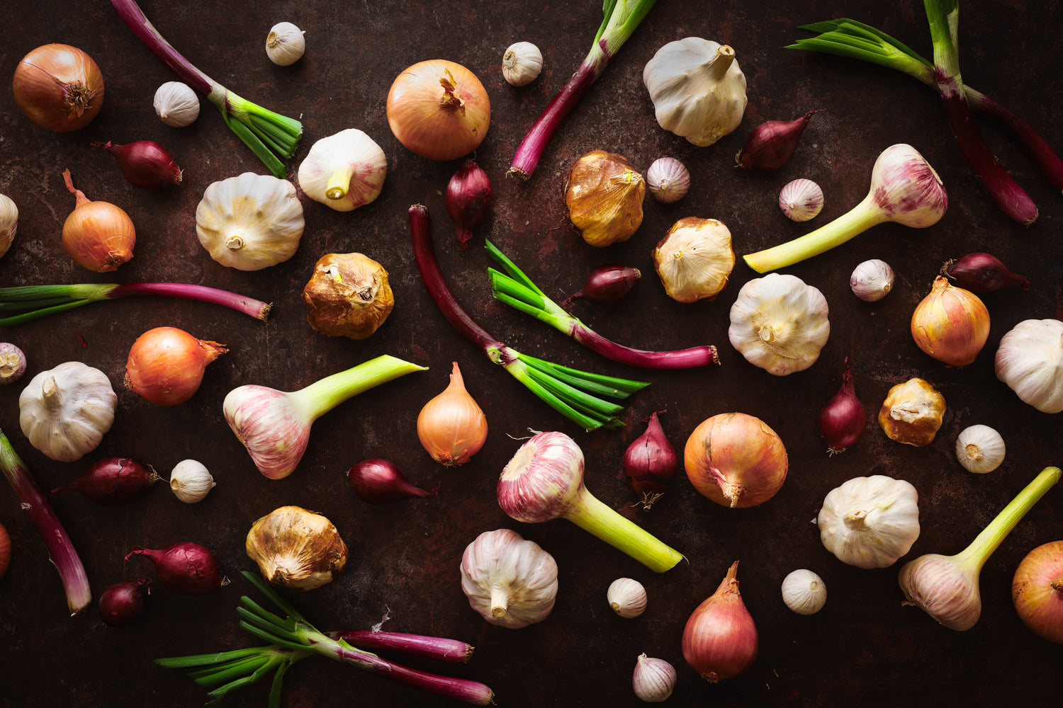 Heritage onions and garlic showing Roscoff, Tropea and Lautrec varieties