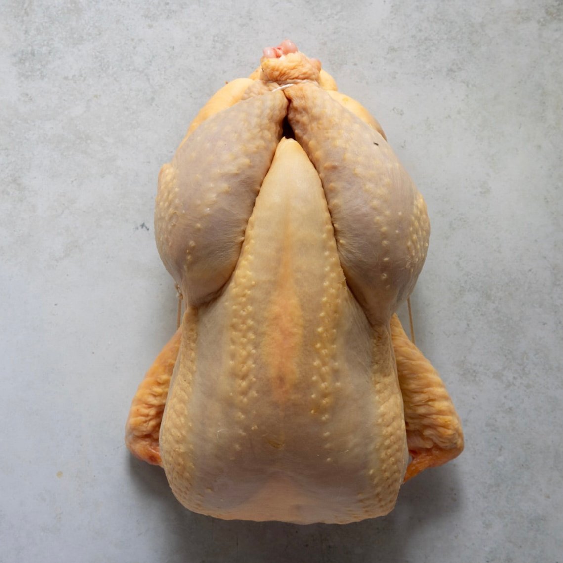 LANDES CAPON  'Arnaud Tauzin