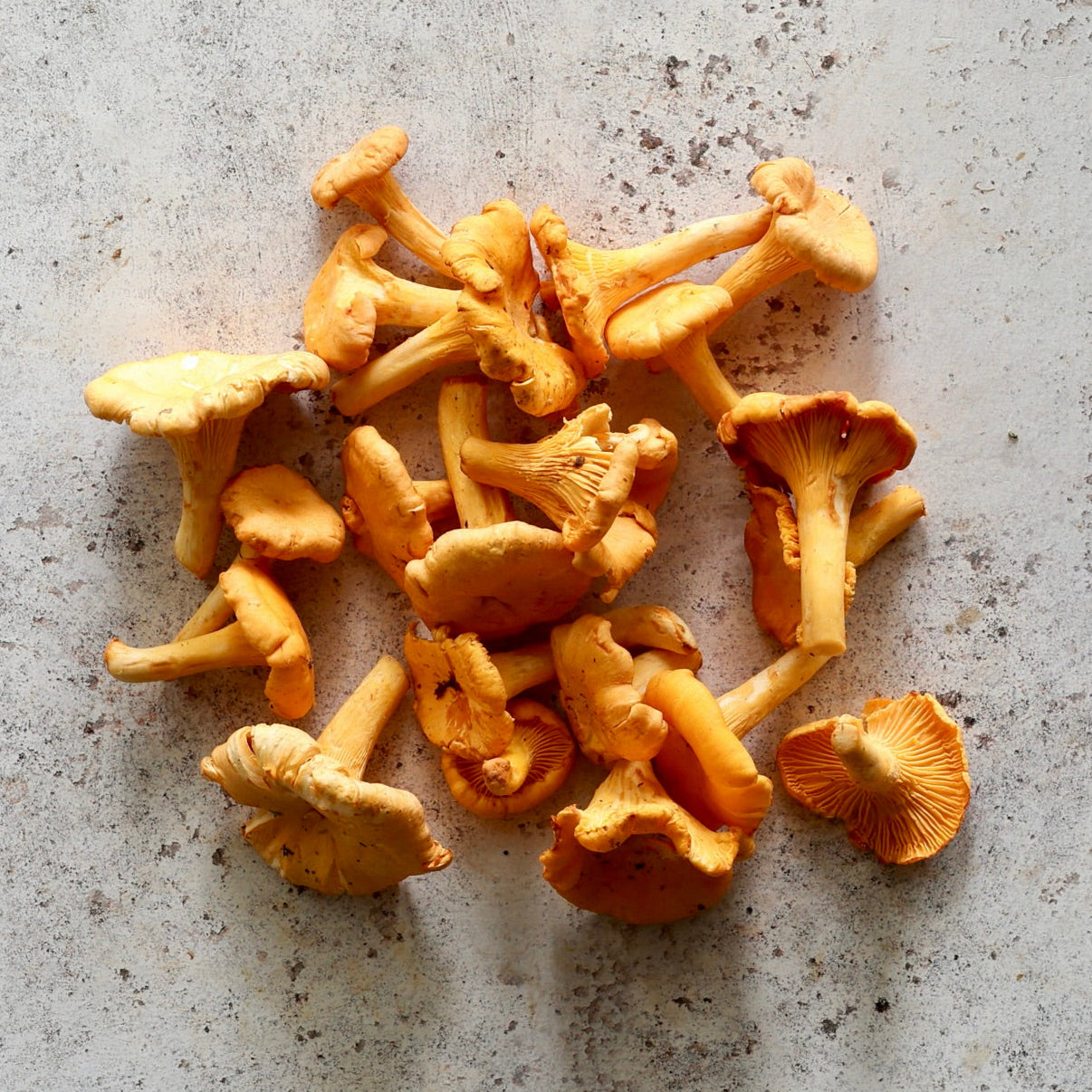 FRESH GIROLLES 250g