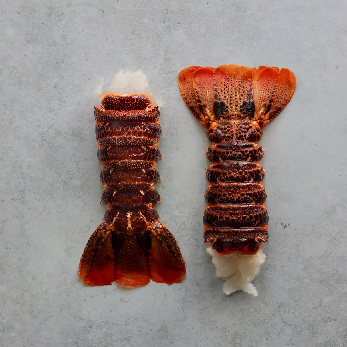 CARIBBEAN ROCK LOBSTER TAILS XXL x 2