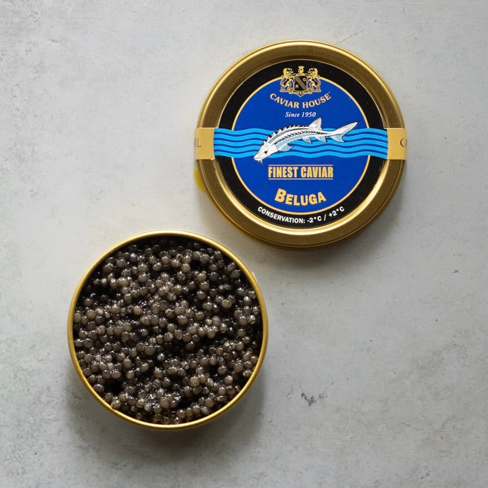 Caviar House Beluga Caviar | Huso huso | FINE & WILD