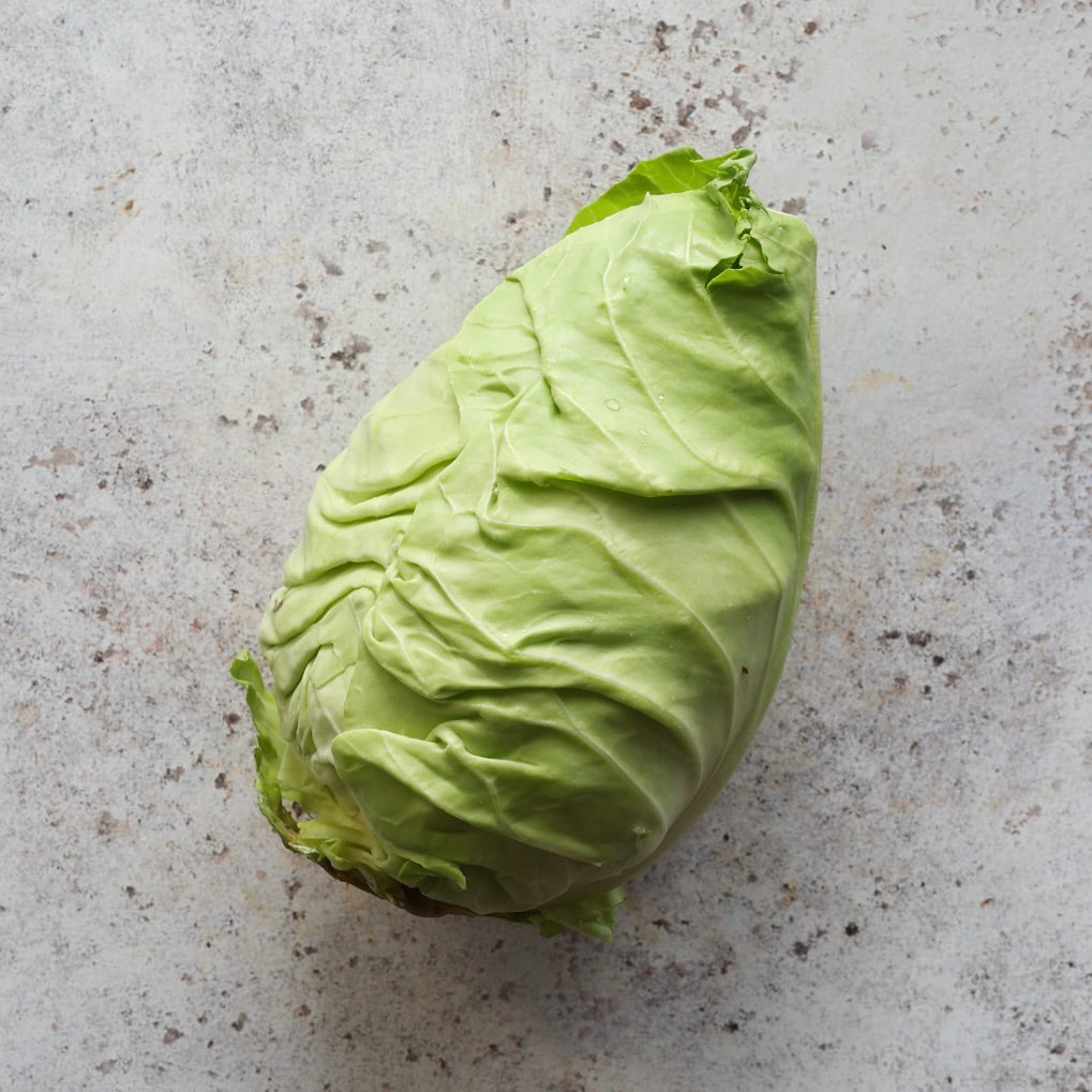 Hispi Cabbage | Sweetheart Cabbage | FINE & WILD UK