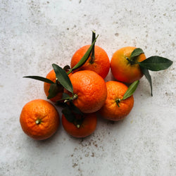 CORSICAN CLEMENTINES | FINE & WILD 