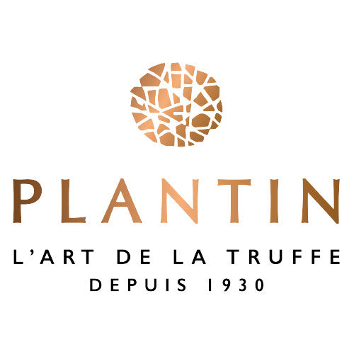Plantin logo with truffle design on a white background