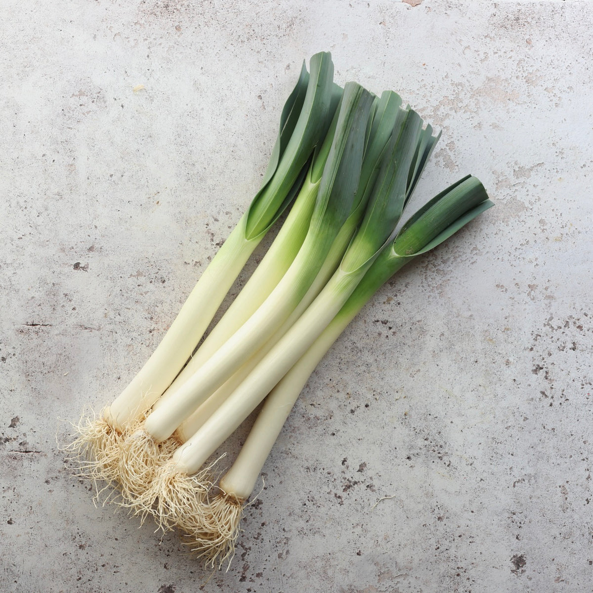 Poireaux de Créances | IGP French Leeks | FINE & WILD