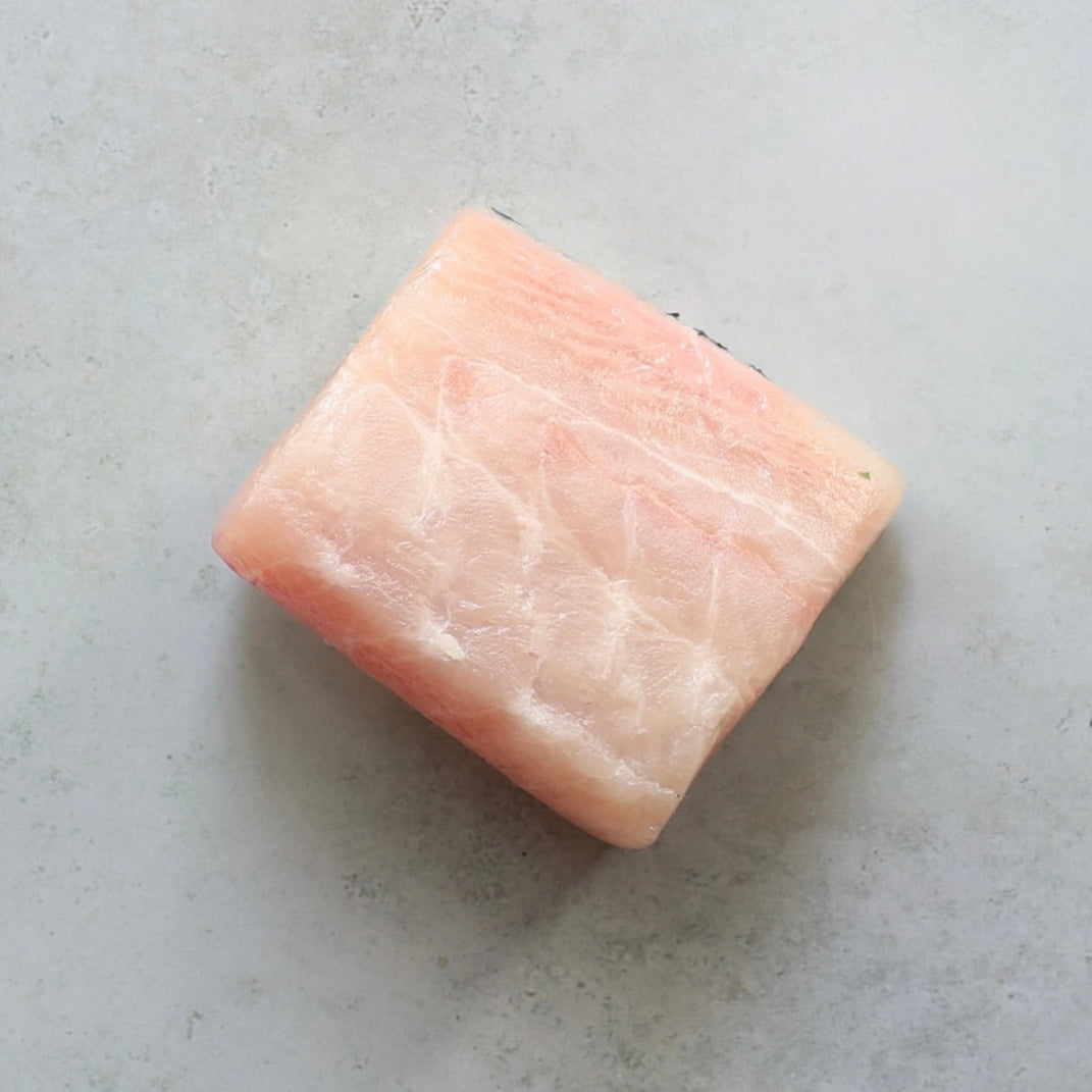 YELLOWTAIL KINGFISH