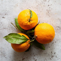 SICILIAN ORANGES