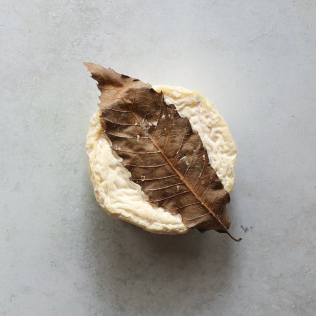 MOTHAIS SUR FEUILLE