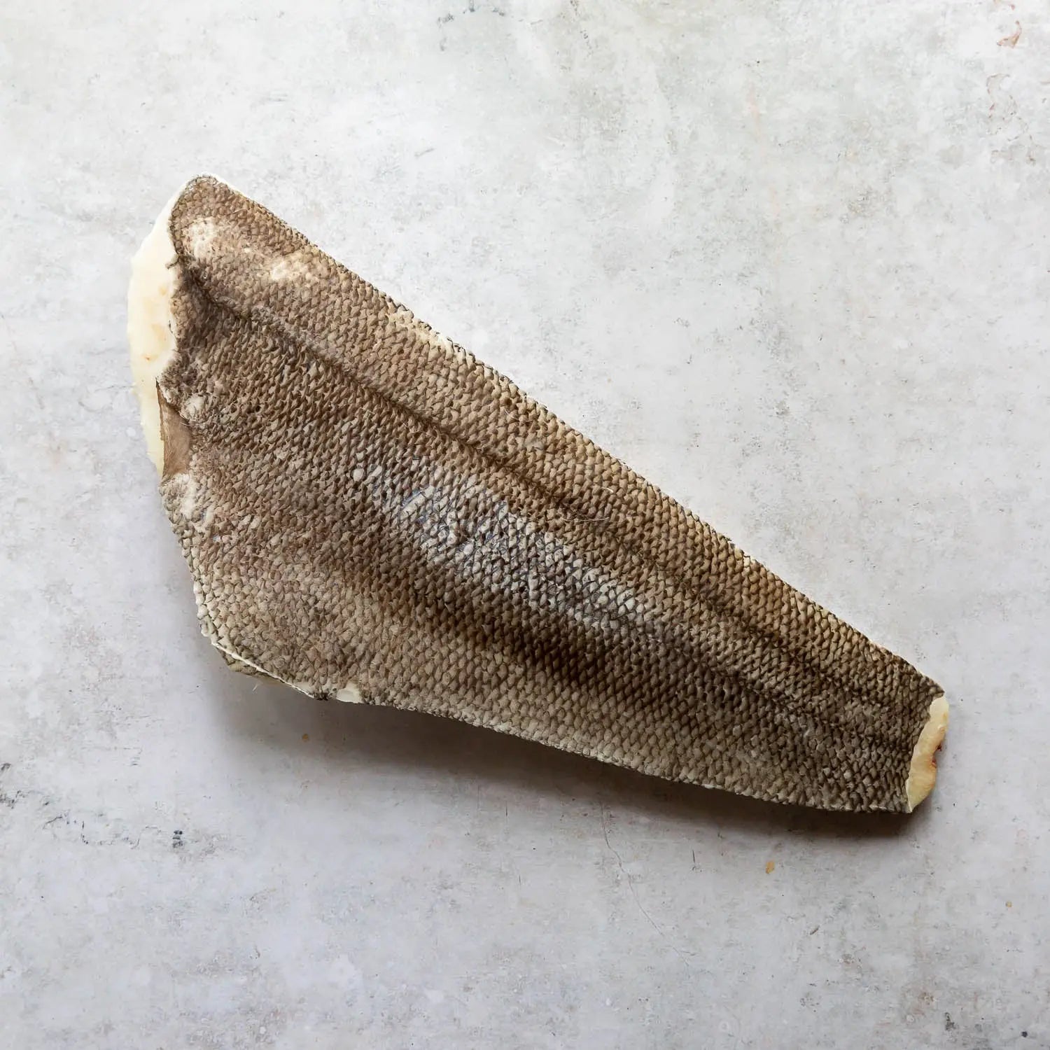 Chilean Sea Bass Whole Fillet | Fine & Wild UK