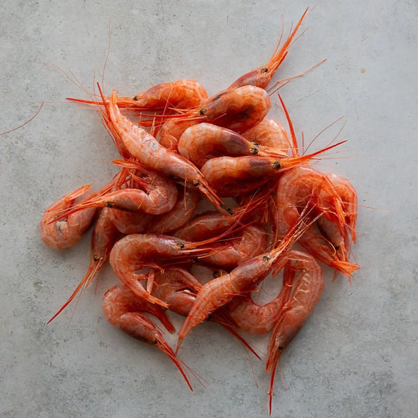 BLUE BELLY SHRIMP 500g