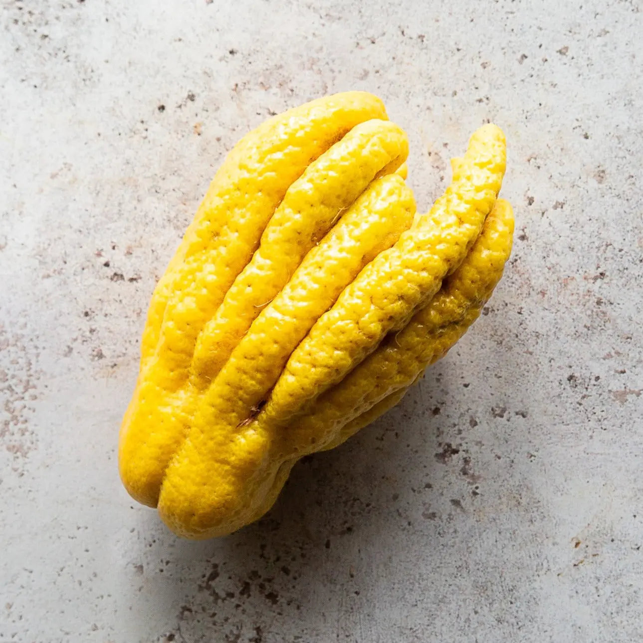 BUDDHA'S HAND 