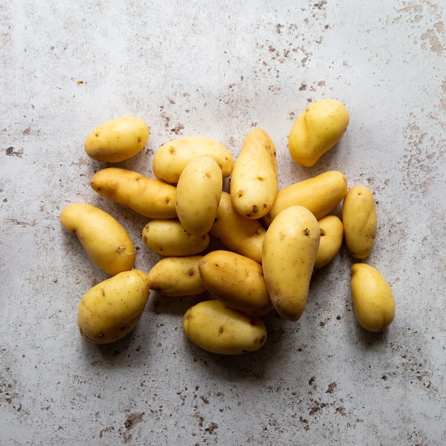 RATTE POTATOES AOC 1kg 