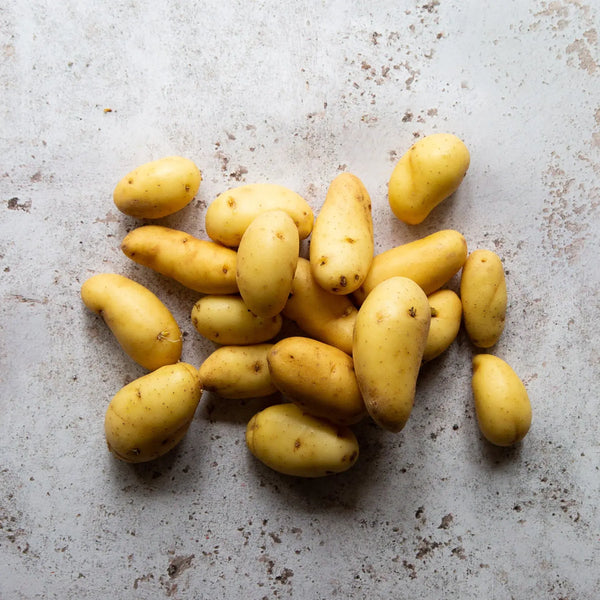 RATTE POTATOES AOC 1kg