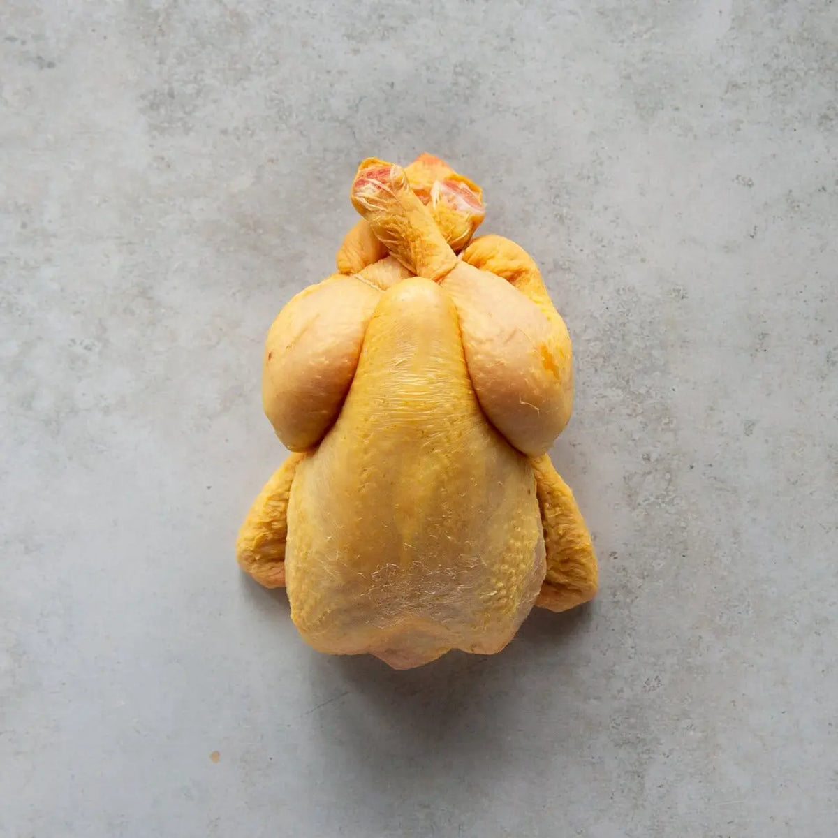 Helloworld Poussin Cornfed Poussin | French Poultry | FINE & WILD