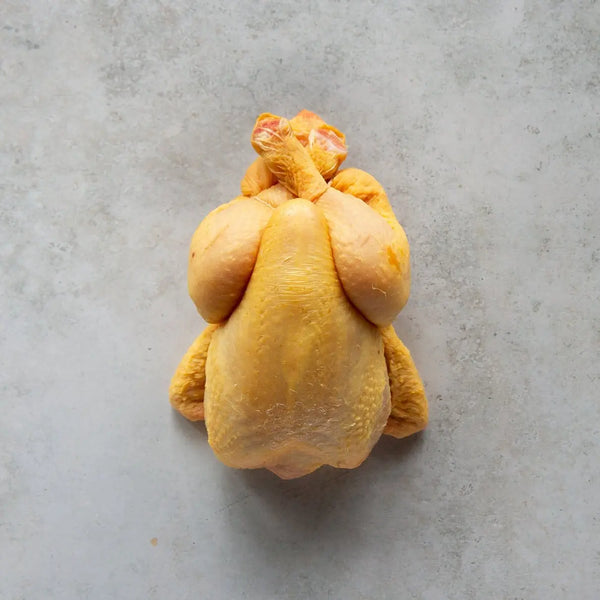 CORNFED POUSSIN