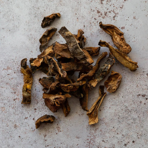 DRIED YELLOW BOLETUS & PORCINI 125g